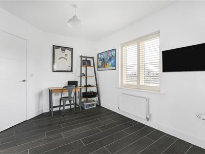 Picture 24